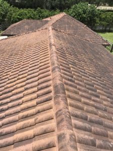 Roof Cleaning West Palm Beach