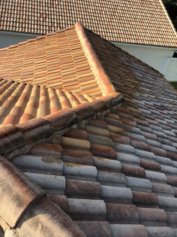 palm beach roof cleaning